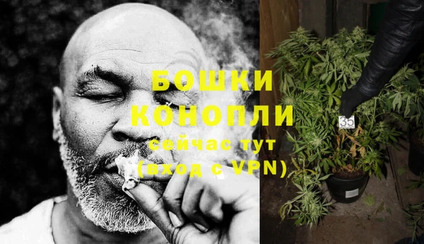 ГАЛЛЮЦИНОГЕННЫЕ ГРИБЫ Бугульма
