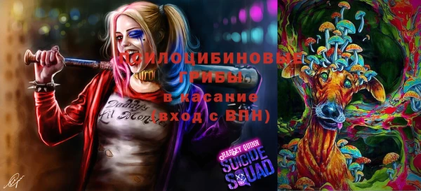 ГАЛЛЮЦИНОГЕННЫЕ ГРИБЫ Бугульма